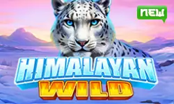 Himalayan Wild